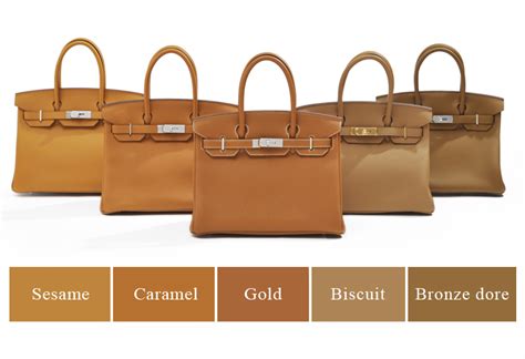 hermes biscuit color|hermes exotic colors.